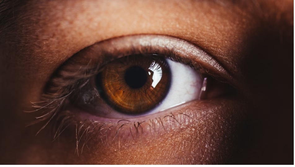 Diabetic Retinopathy : अब सिर्फ आंखों की तस्वीर से पता चल जाएगी यह बड़ी बीमारी
