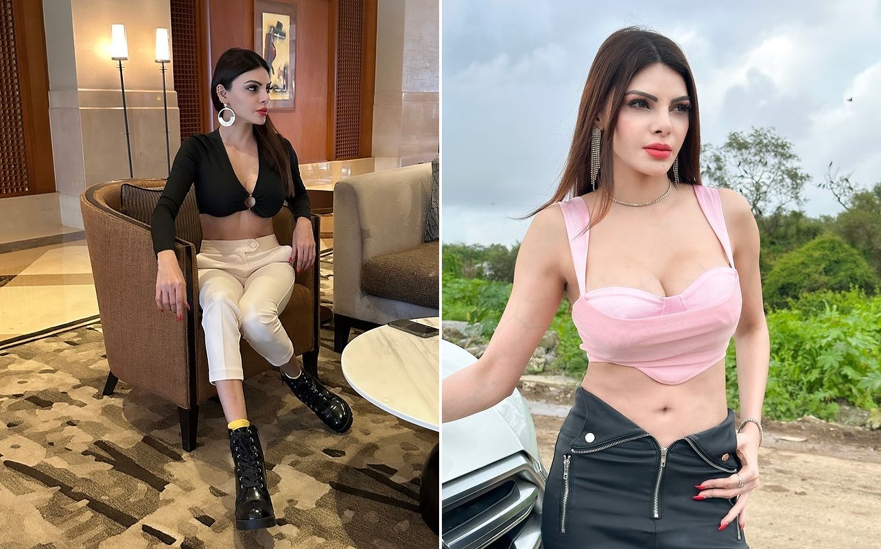 Sherlyn Chopra: Sherlyn Chopra made fans crazy in pink bralette