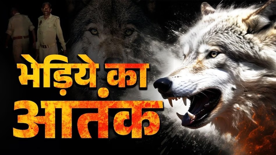 Bhediya: Terror of 2 man-eating wolves, 35 villages in panic...