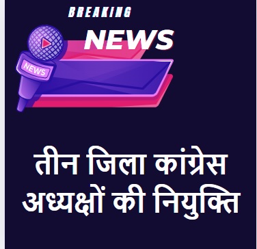 Congress District President