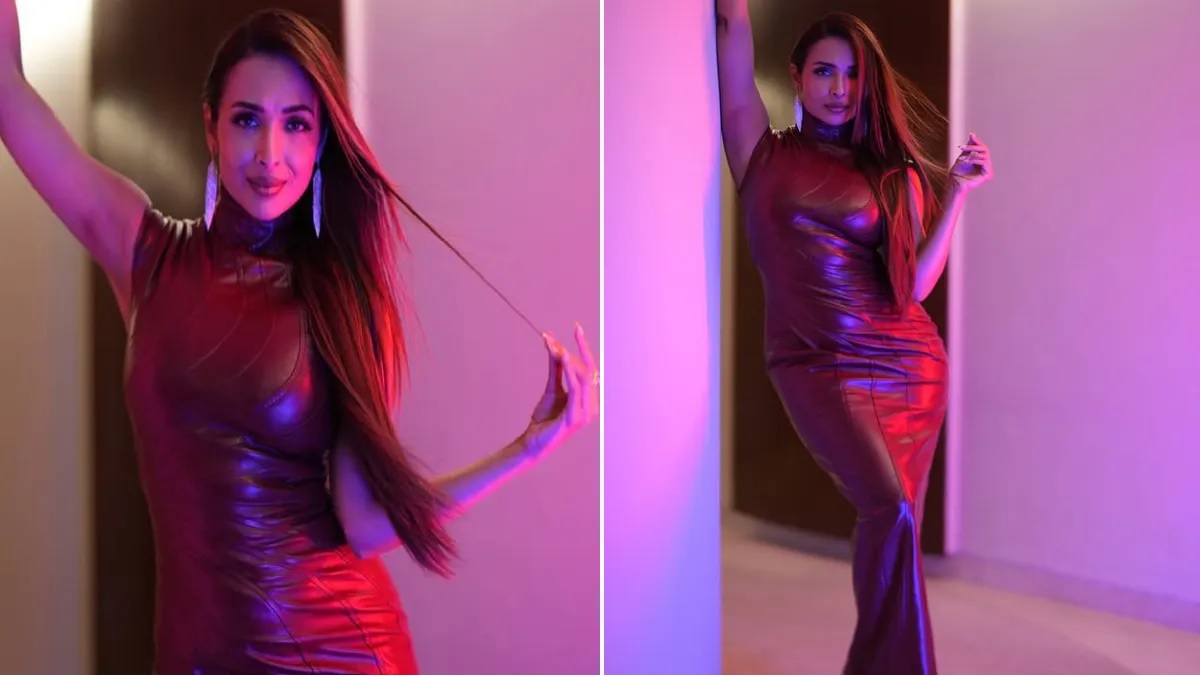 Malaika Arora Bodycon Dress
