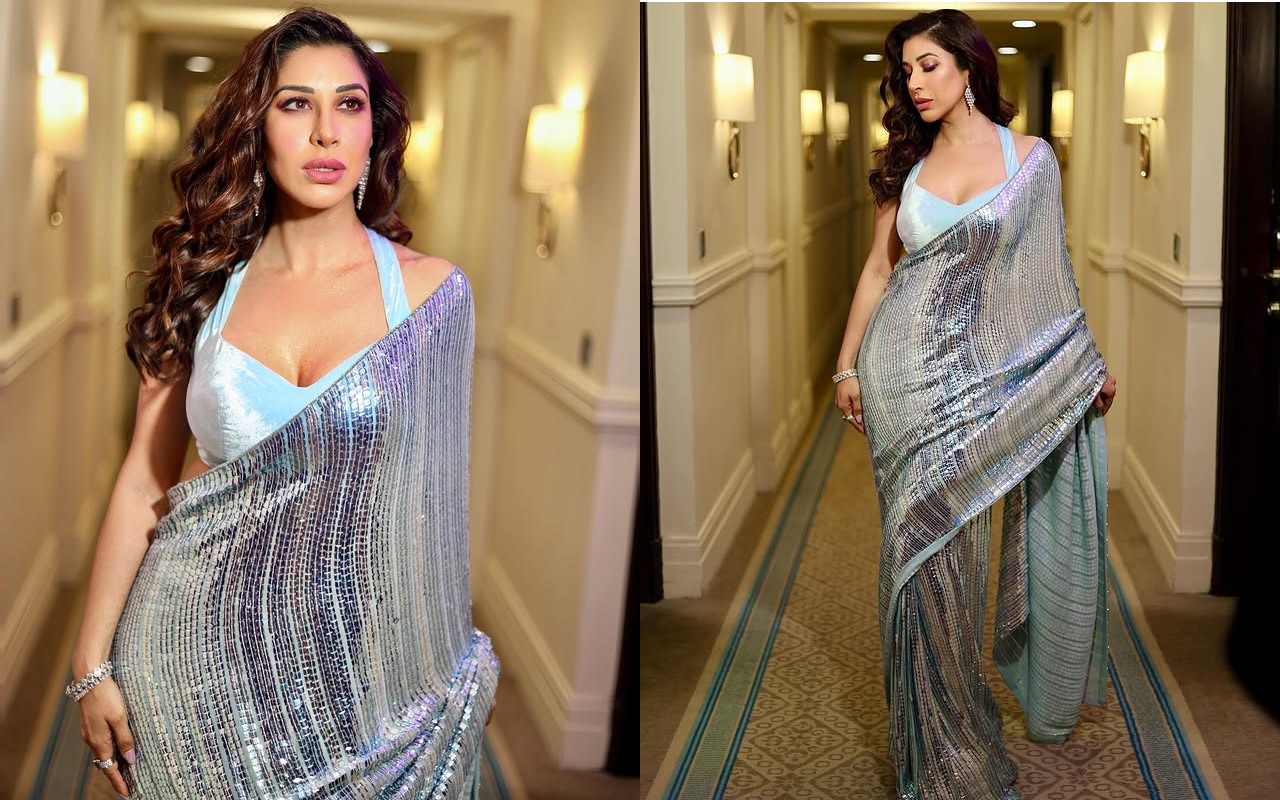 Sophie Choudry Saree Pics
