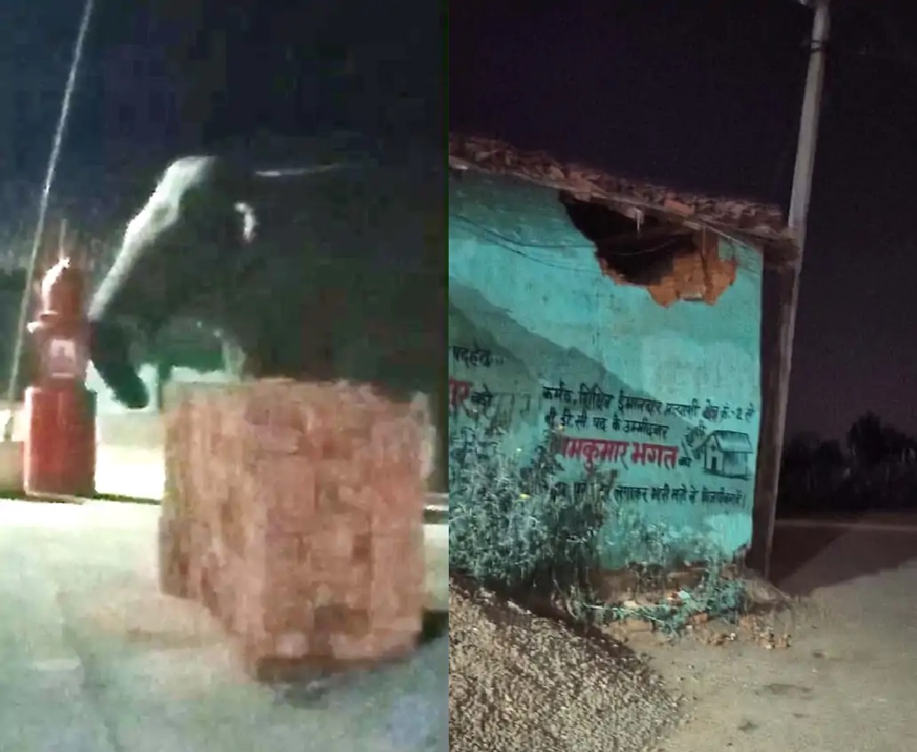 Elephant